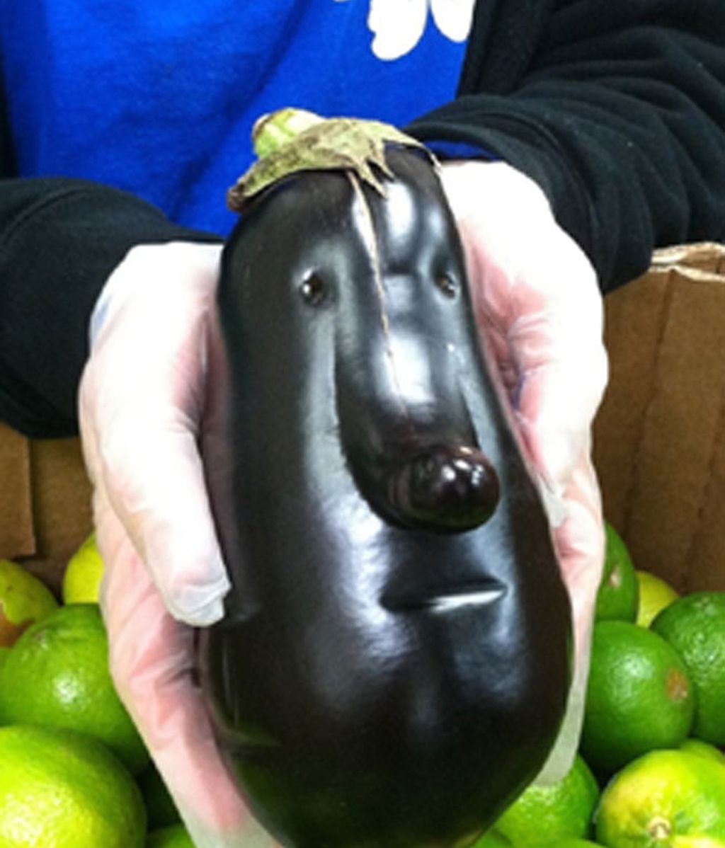 ¿Frutas y hortalizas?