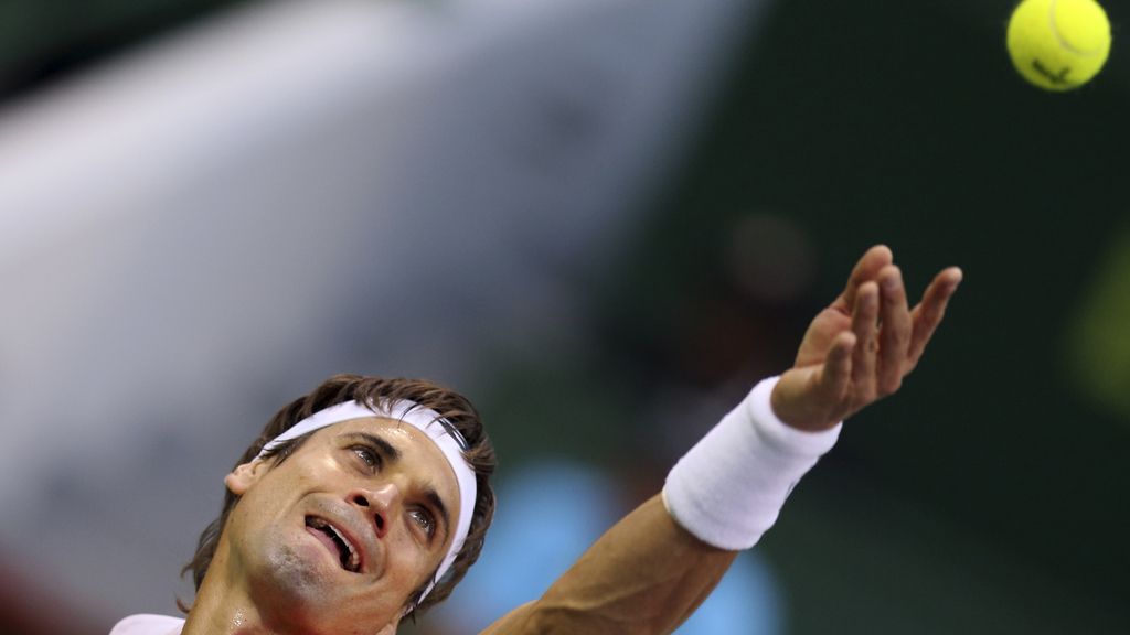 David Ferrer