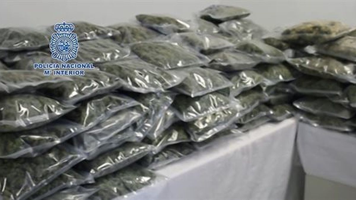 Incautados en Murcia 110 kilos de cogollos de marihuana con destino a Reino Unido