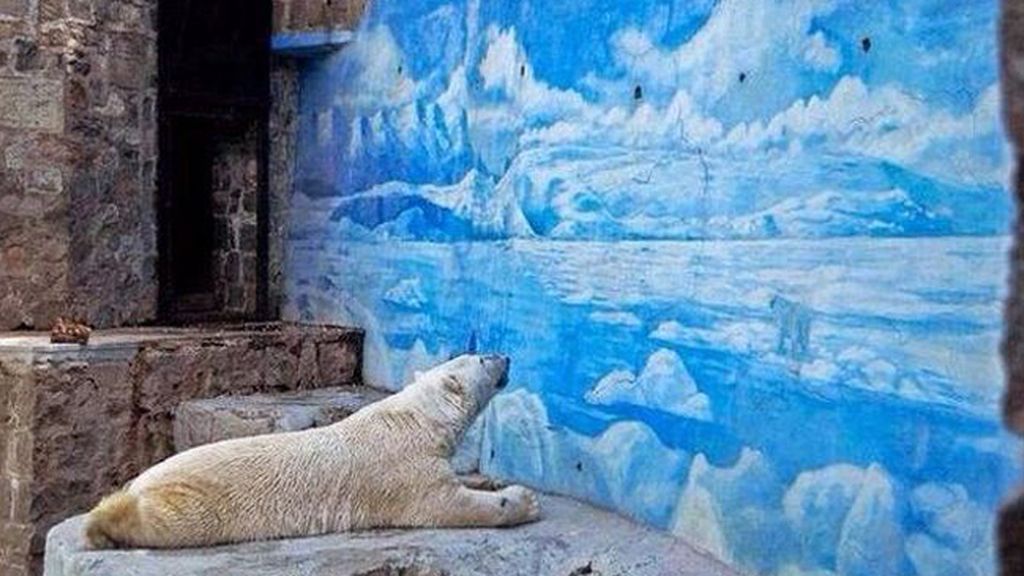 Muere Arturo, el animal más triste del mundo