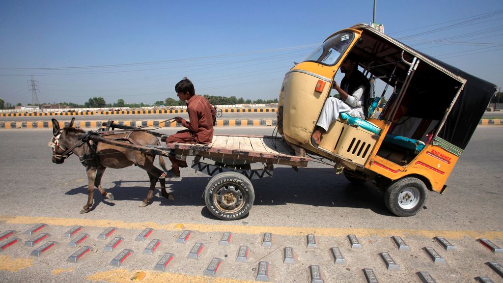 En Pakistán, el asno remolca cualquier vehículo