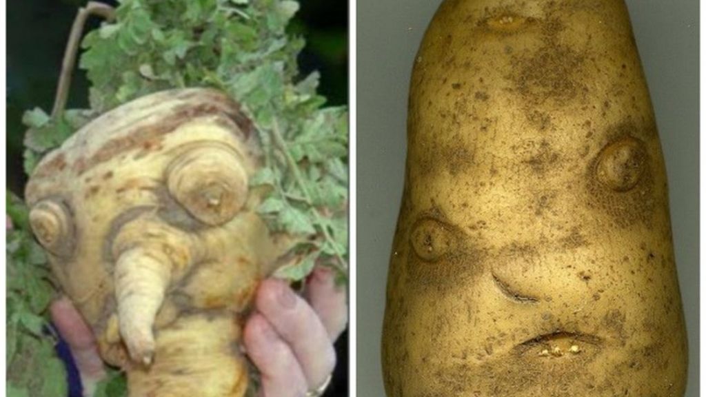 ¡Unos alimentos que dan miedo!