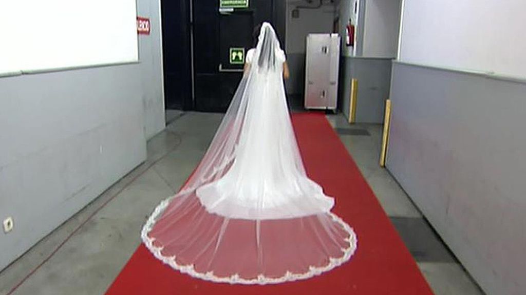 'Sálvame' imagina cómo será la boda de su colaborador