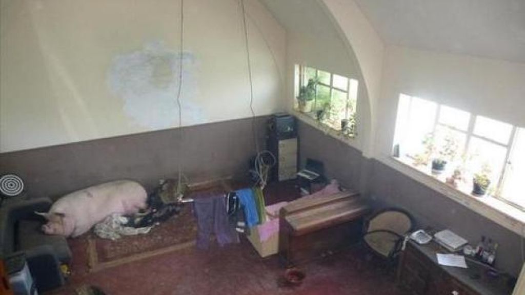 ¿Comprarías una casa  con esta pinta?