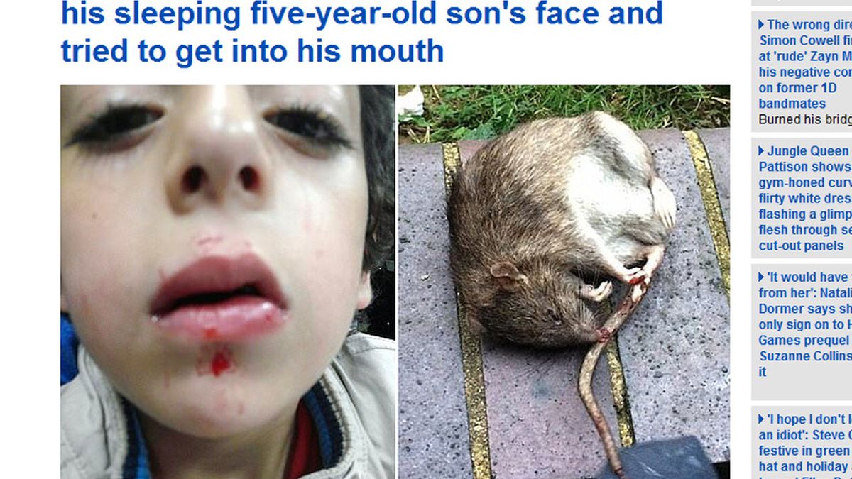 Un niño de cinco años atacado por una rata mientras dormía