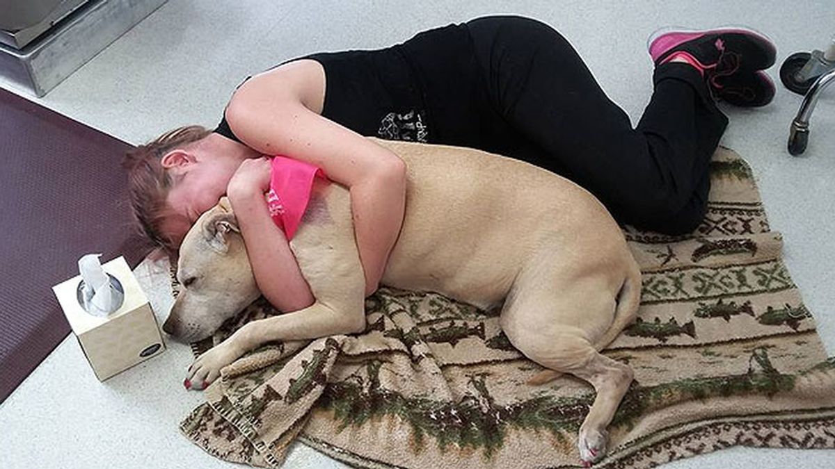 El "doloroso" y conmovedor abrazo final a su perra en su último día de vida