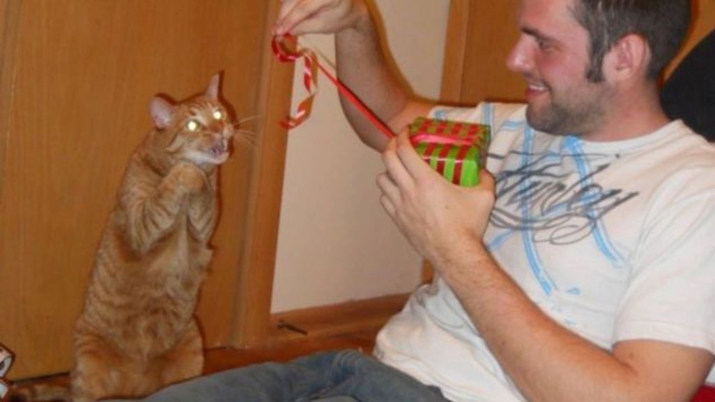 Gatos infernales: El lado oscuro de nuestra mascota