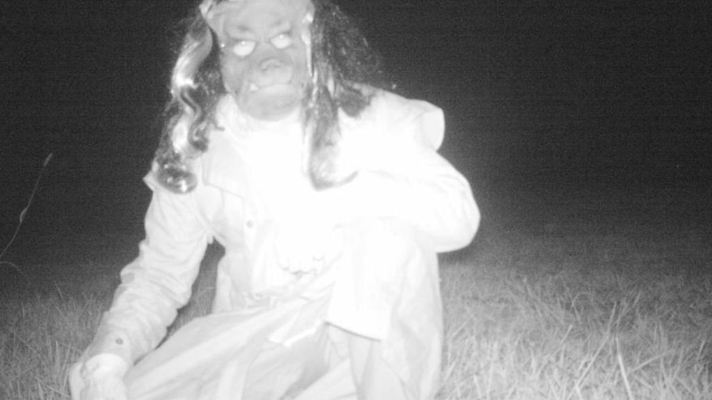 Colocan una cámara oculta para comprobar si hay pumas y graban imágenes que les arrancan una sonrisa