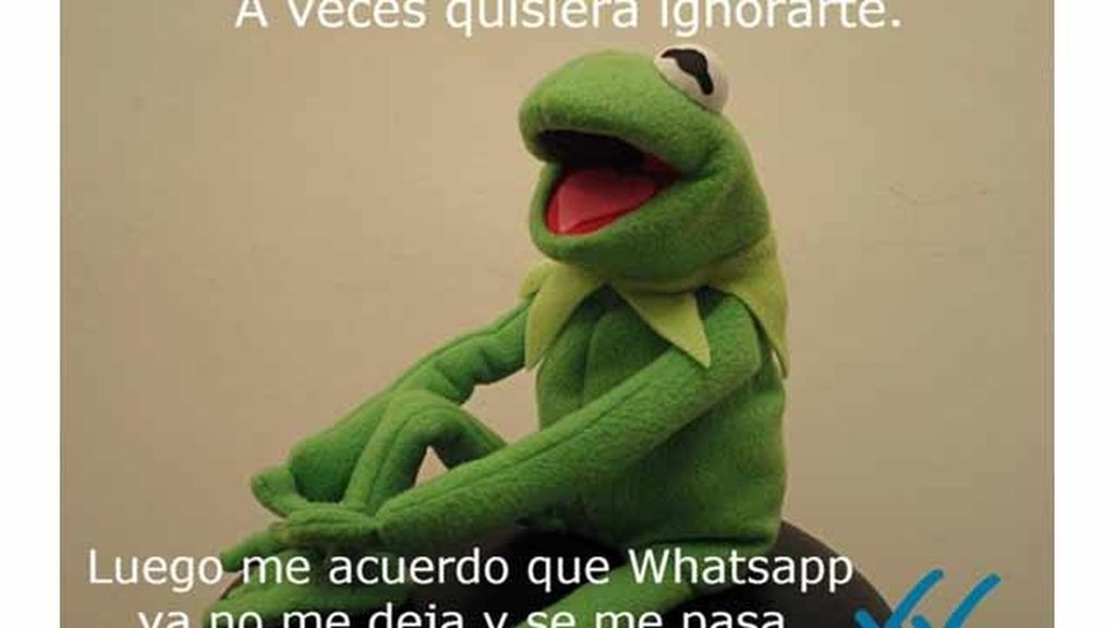 Memes de indignación por el doble check azul de Whatsapp