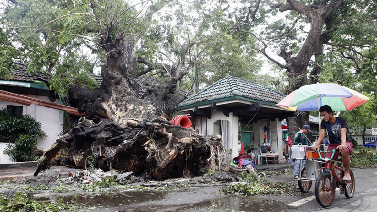 Llegan a 38 la cifra de muertos por el tifón que arrasa Filipinas