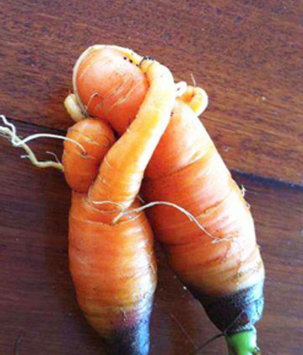 ¿Frutas y hortalizas?