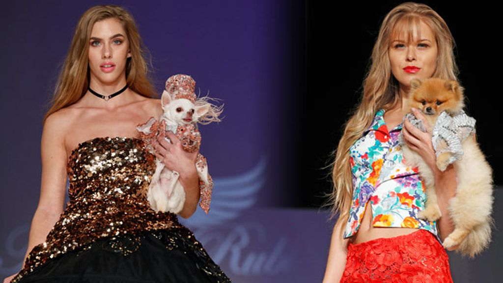 Sombreros, capas, tules, y lentejuelas son las propuestas para petcelebrities