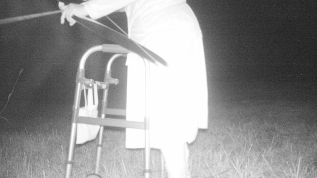 Colocan una cámara oculta para comprobar si hay pumas y graban imágenes que les arrancan una sonrisa