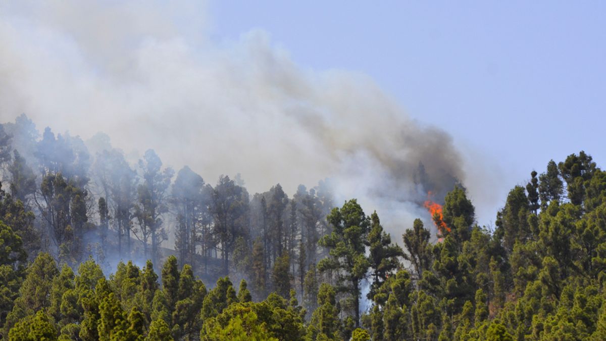 Incendio La Palma