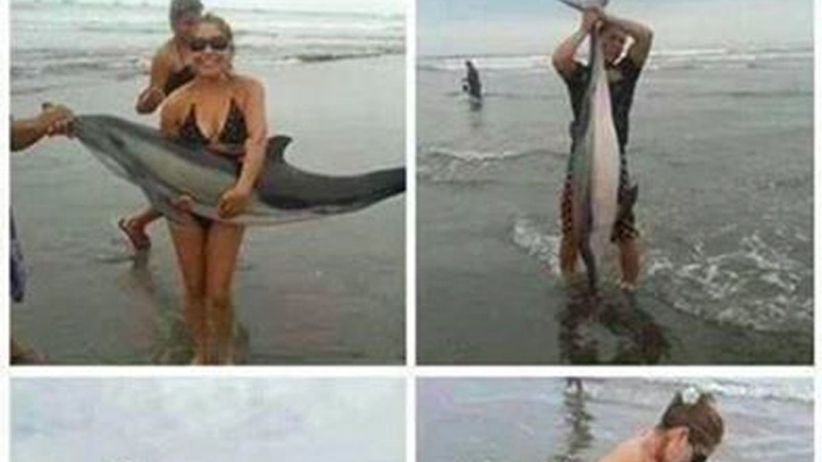 Una pareja posa con un delfín varado en la playa que horas después murió