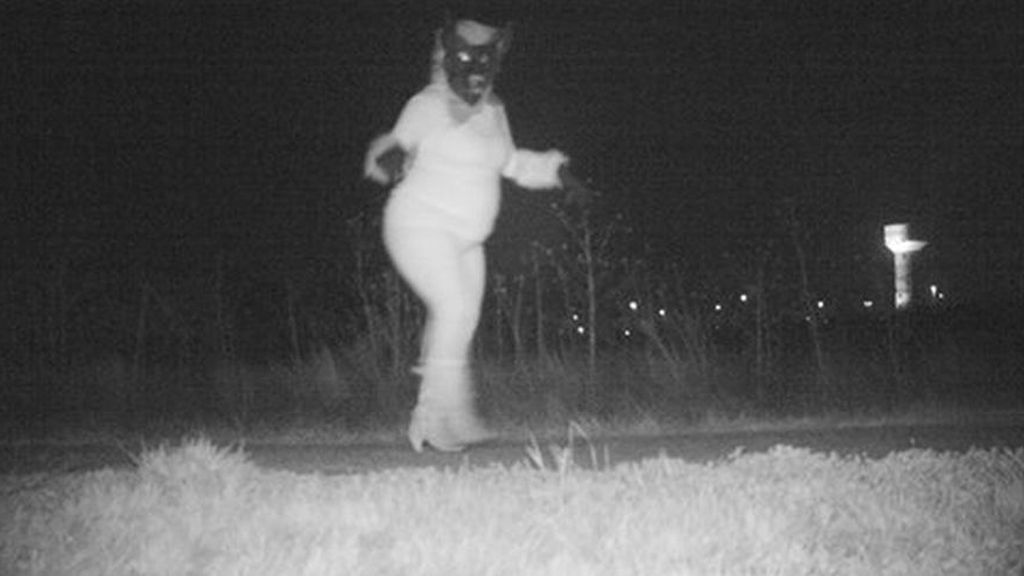 Colocan una cámara oculta para comprobar si hay pumas y graban imágenes que les arrancan una sonrisa