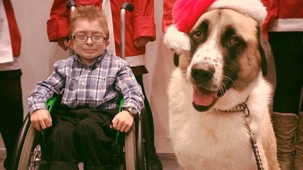 La increíble amistad entre un niño enfermo y su perro de tres patas conmueve a la Red