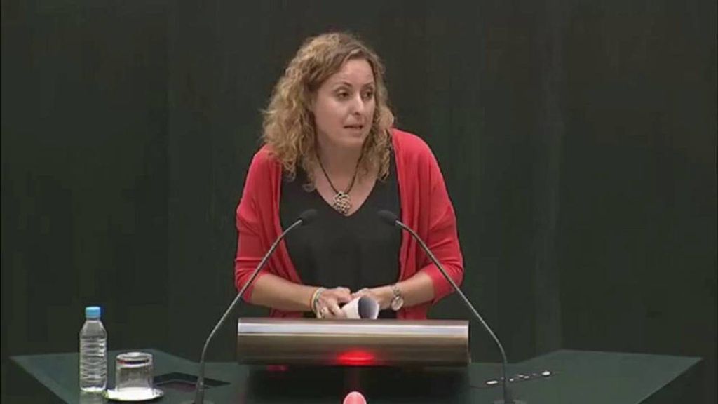 Carlota Merchán, la sustituta de Pedro Sánchez en el Congreso Carlota Merchán, la sustituta de Pedro Sánchez en el Congreso
