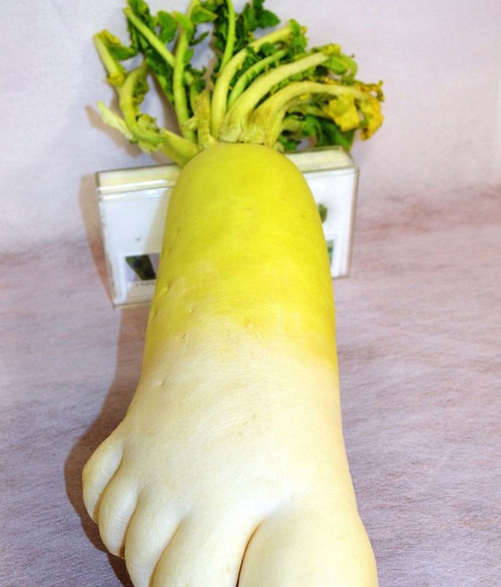 ¿Frutas y hortalizas?