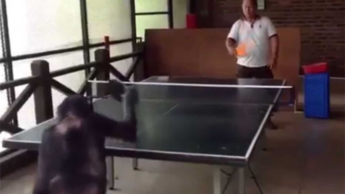 Mono ping-pong