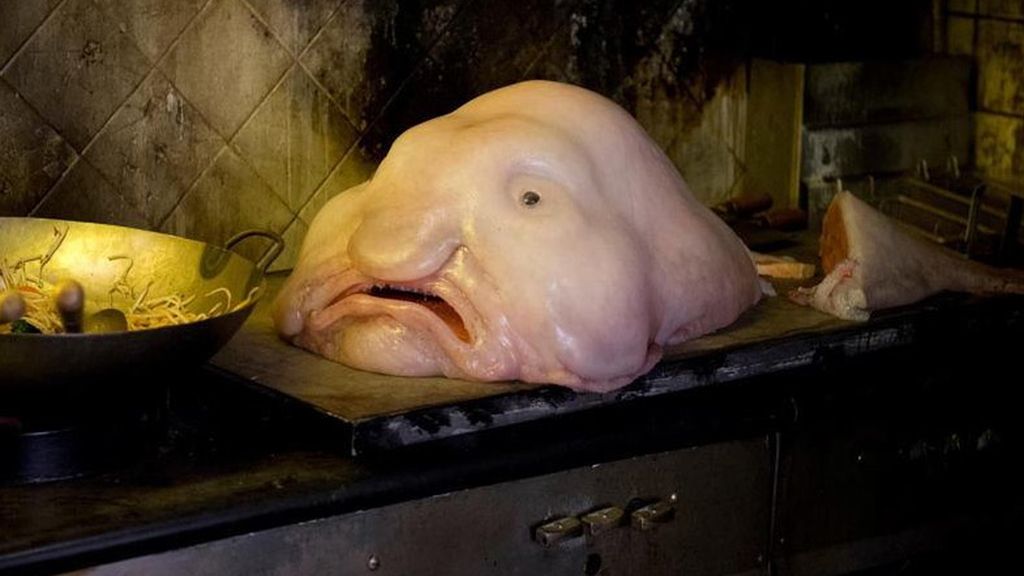 Las criaturas más terroríficas del océano