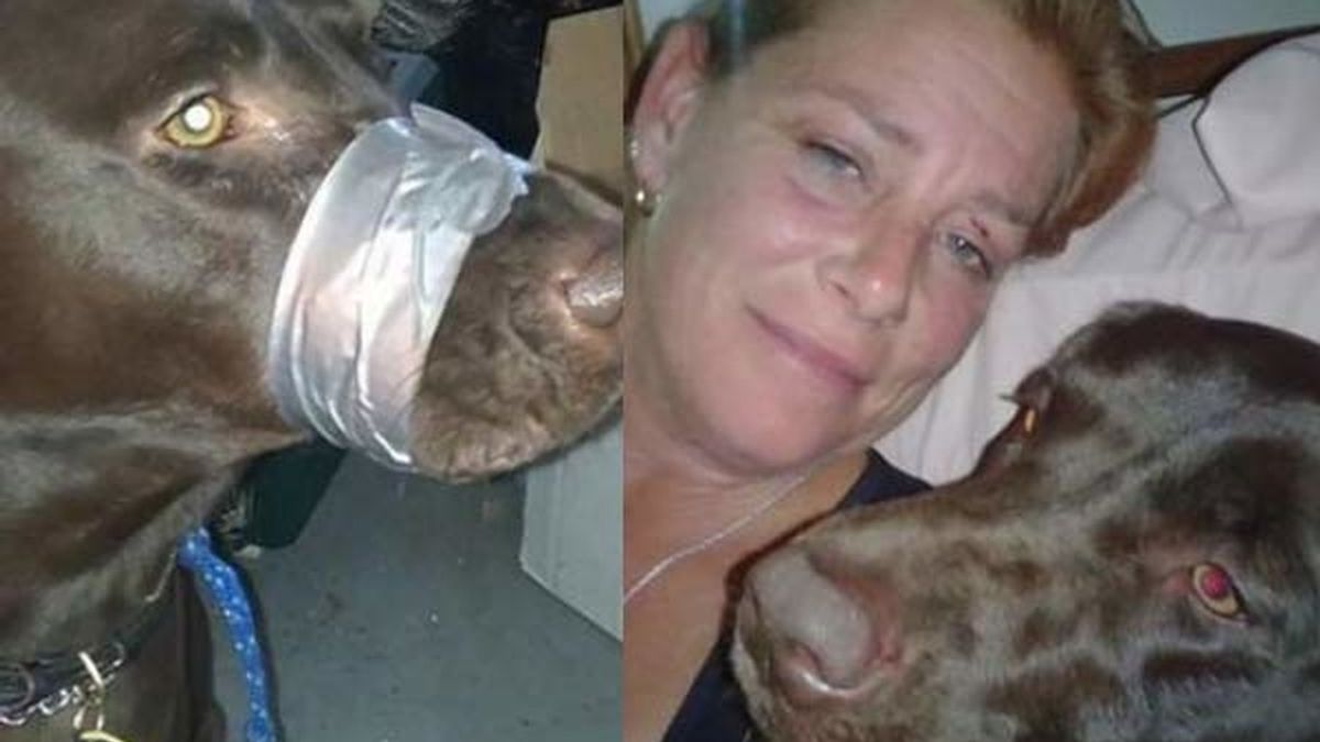 La policía investiga a una mujer de Florida que ató la boca de su perro con cinta aislante