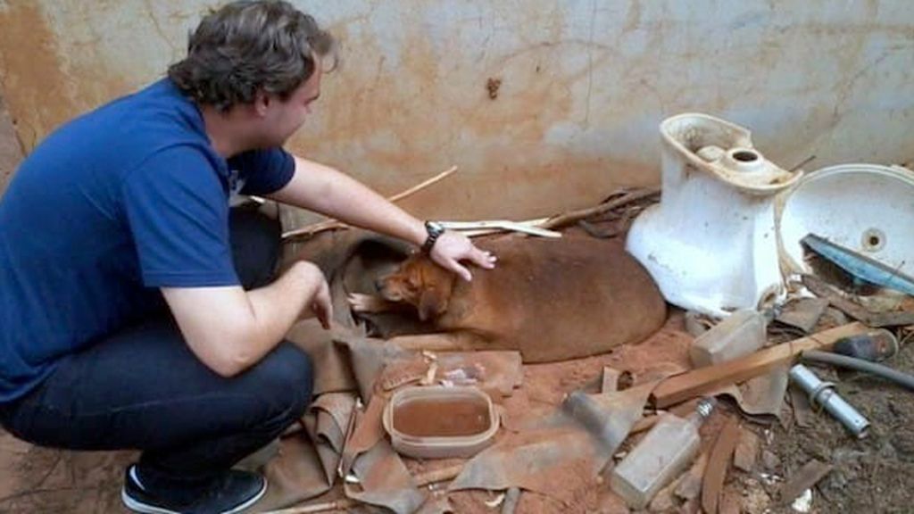 Abandonado y alimentado con comida basura