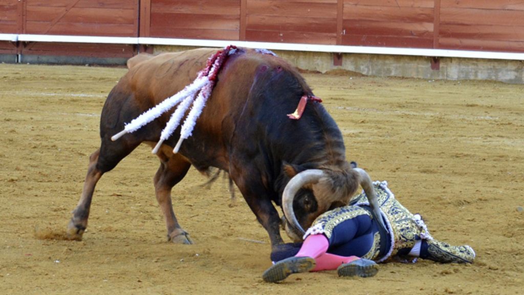 Fuerte cogida del torero Roca Rey en Palencia