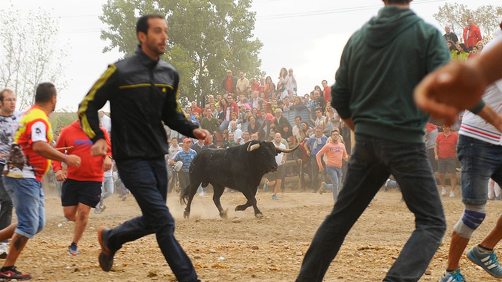 A golpes en Tordesillas por el ‘Toro de la Peña’