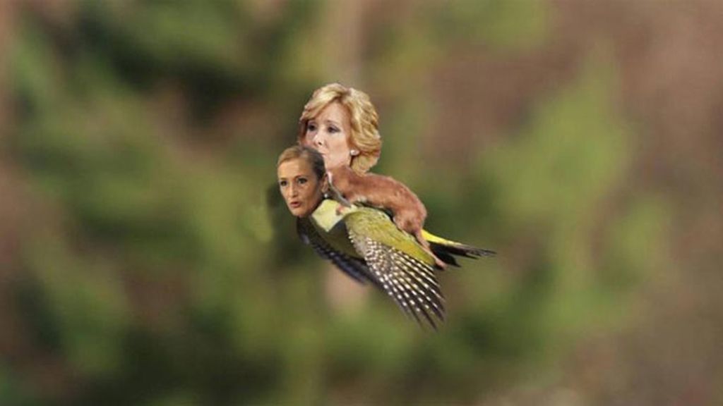 Twitter se llena de memes tras conocer las candidaturas de Cifuentes y Aguirre