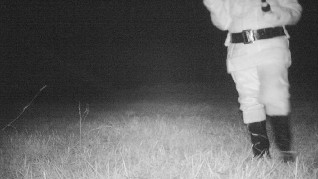 Colocan una cámara oculta para comprobar si hay pumas y graban imágenes que les arrancan una sonrisa