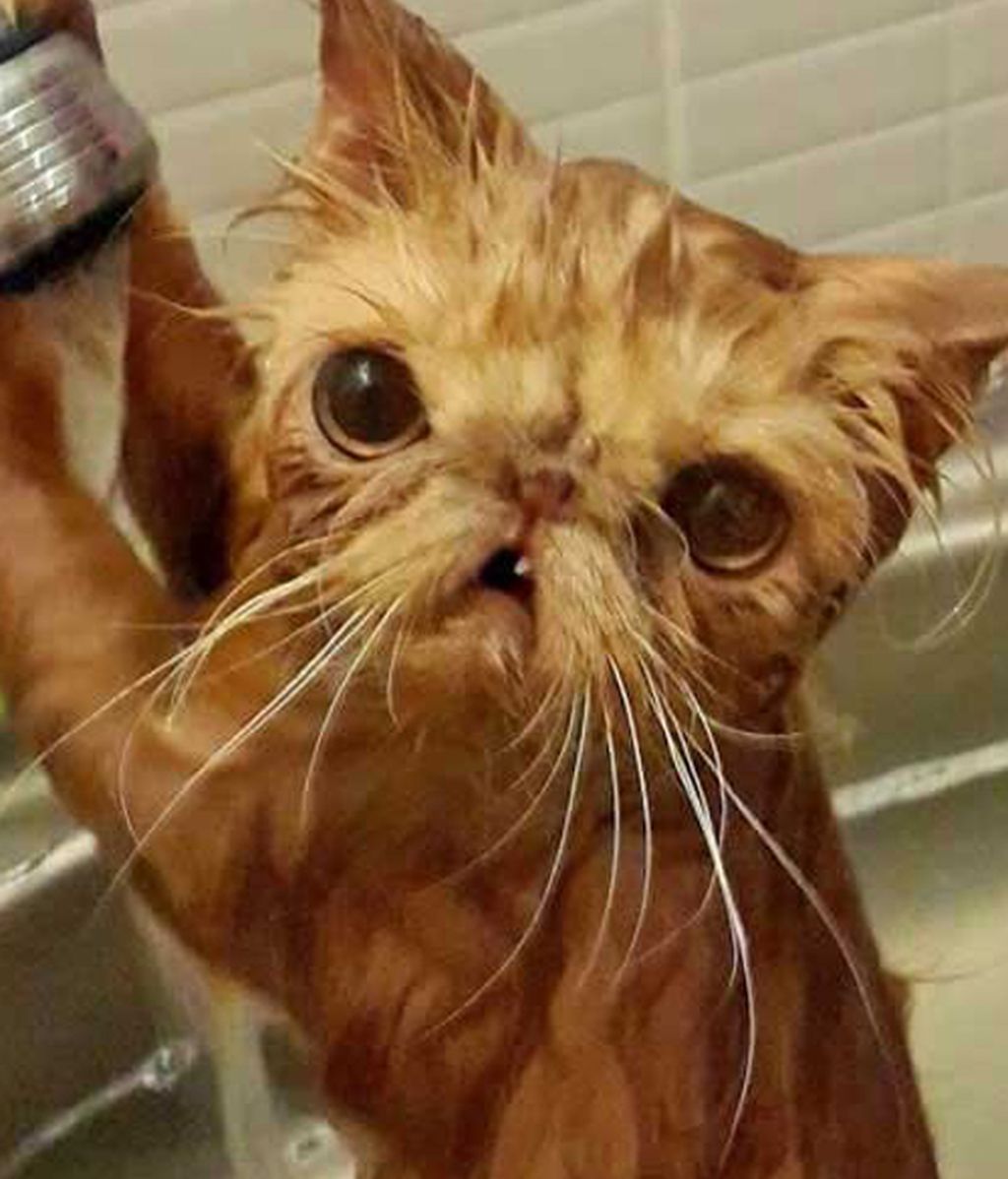 ¡Odio bañarme!