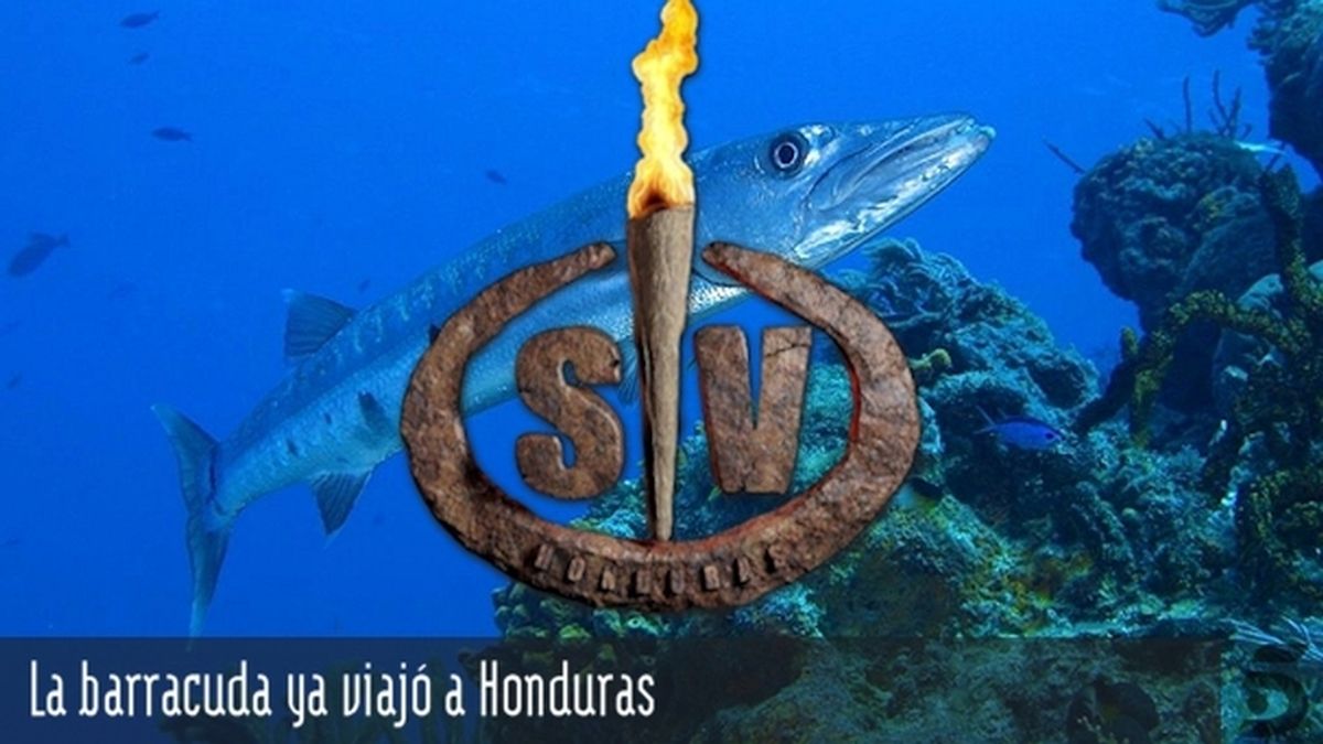 La barracuda ya viajó a Honduras