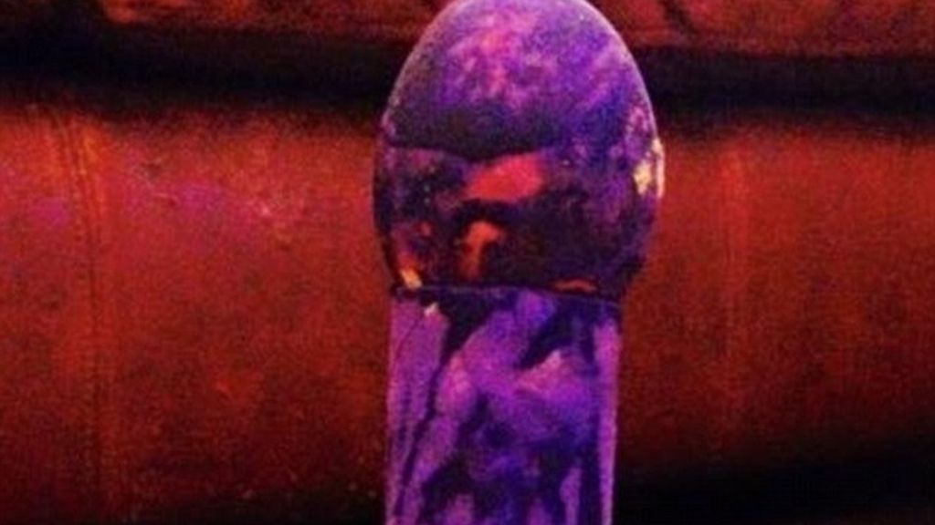 Gorros, gusanos de mar o dragones con formas más que peculiares