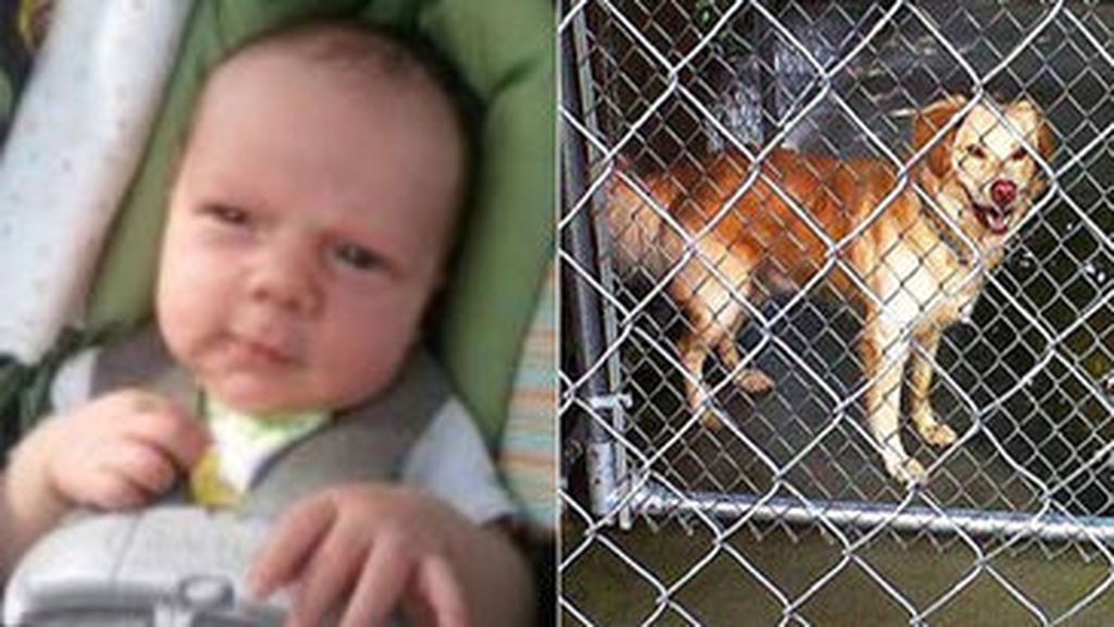 El bebe despedazado en EEUU