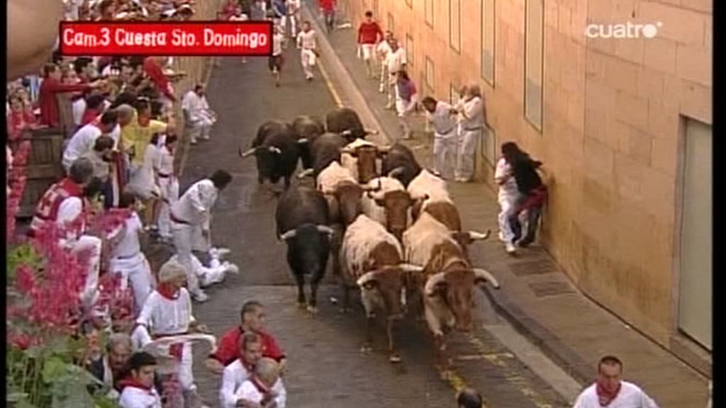 A una elevada velocidad los astados atravesaron la cuesta