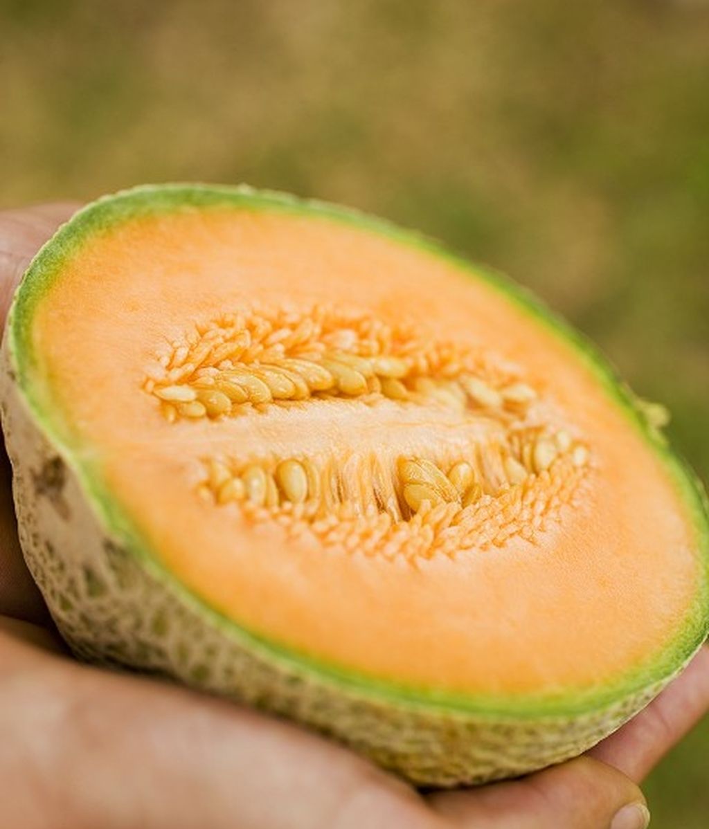 Melón