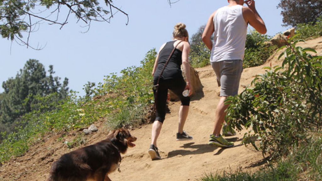 Amanda Seyfried hace deporte con el amor de su vida... su perro Finn