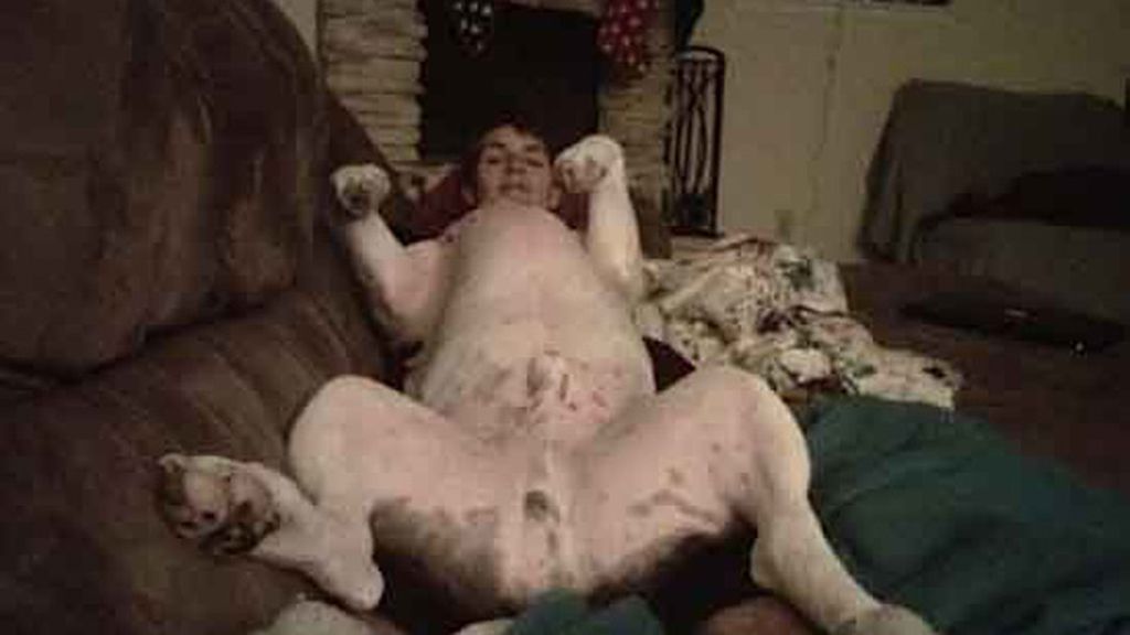 Imágenes simpáticas sin quererlo