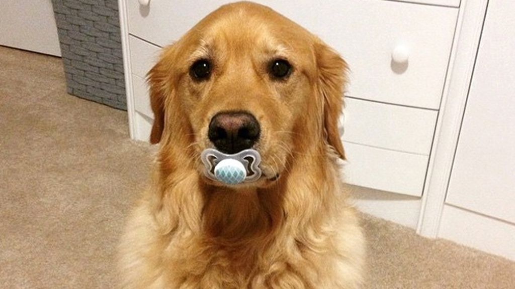 Las imágenes más graciosas de los niños