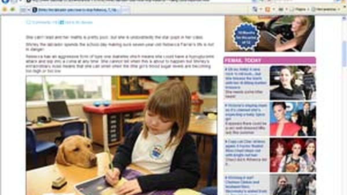 Rebecca Farrar y su perra labrador Shirley, van juntas a la escuela todos los días. FOTO: Daily Mail