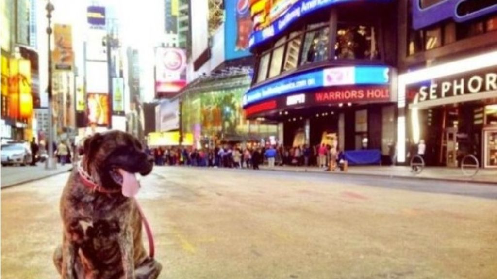 Visitar Times Square