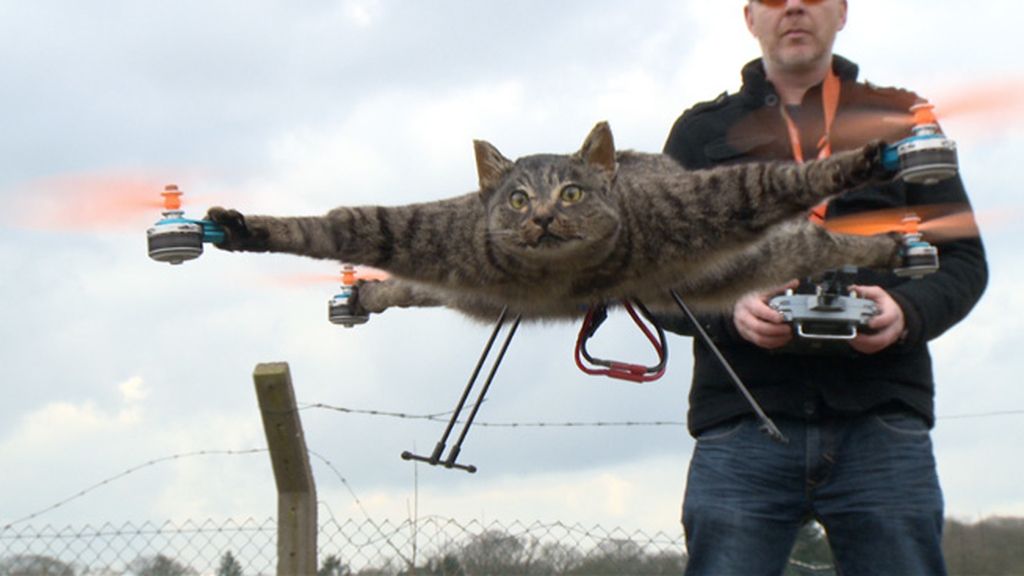 La 'animalista' afición que une taxidermia y drones