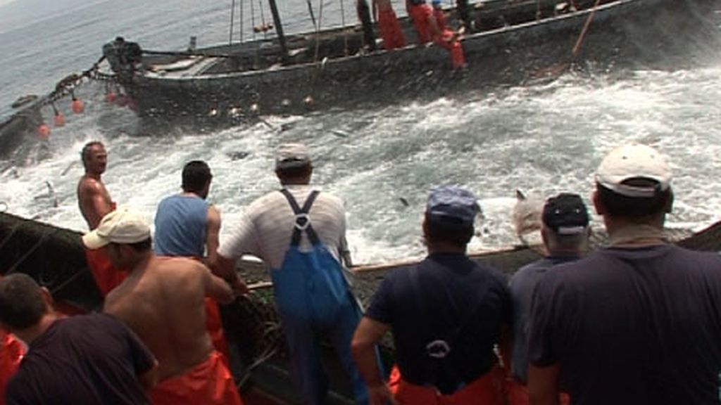 Callejeros: Almadraba