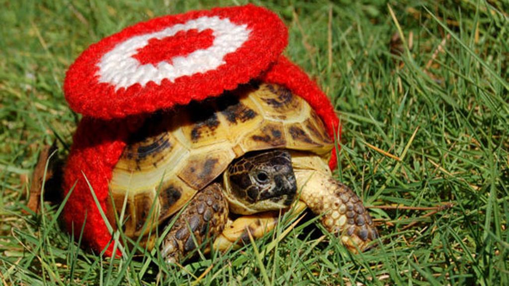 Las tortugas y sus trajes de ganchillo