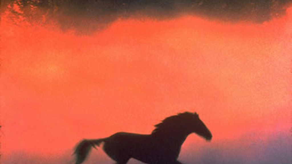 El hombre que susurraba a los caballos