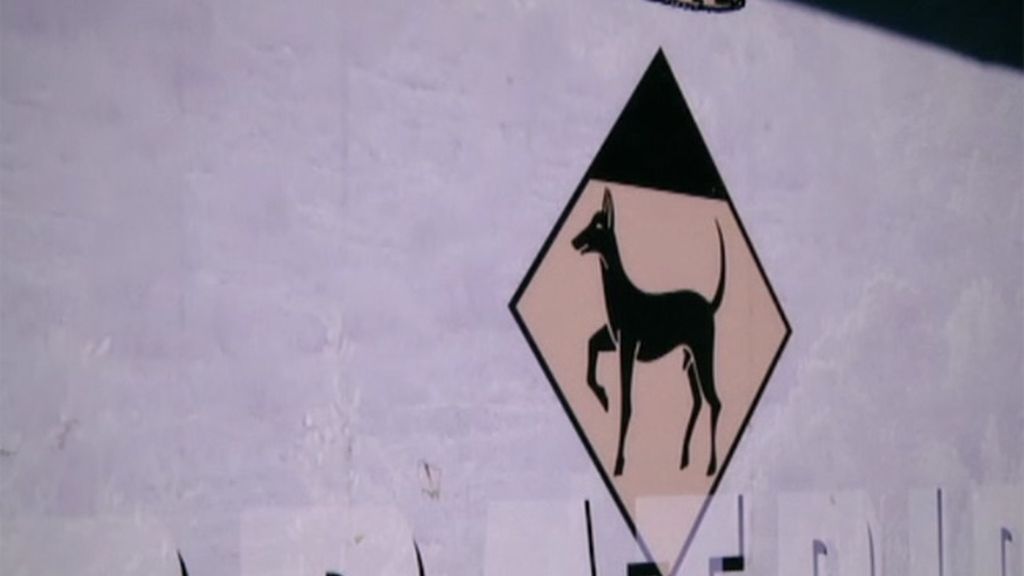 Las mejores imágenes del programa