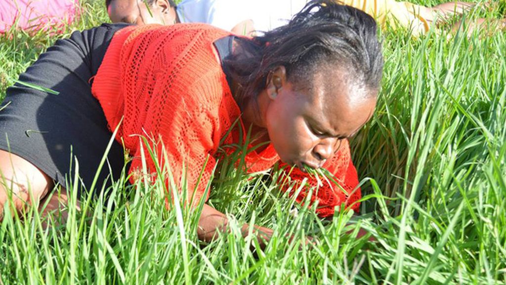 Comen césped para estar más 'cerca' de Dios