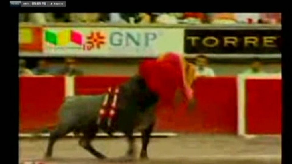 José Tomas mejora levemente