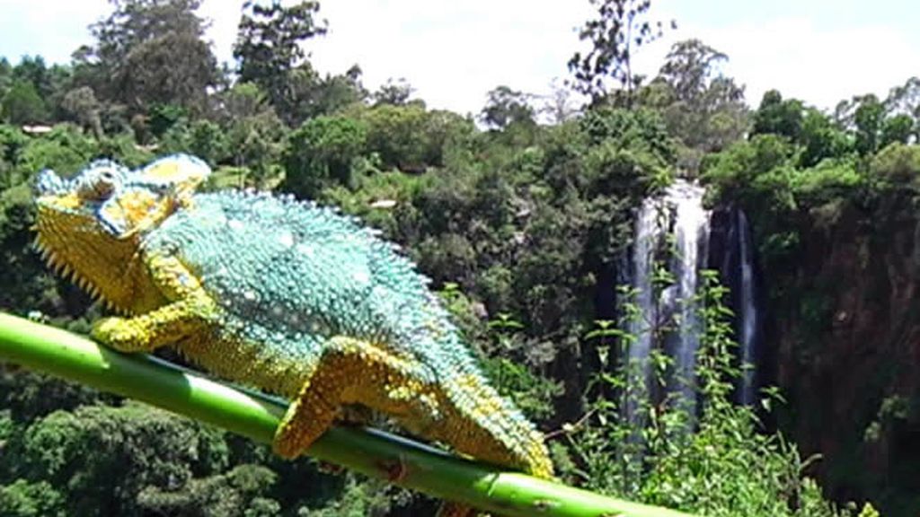 Un camaleón intentando pasar desapercibido